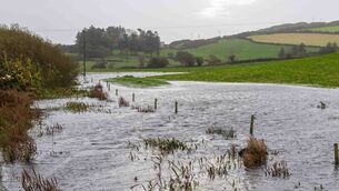 <p>Storm Amy has made landfall in Ireland today, with gale force winds and heavy rain to the fore. Fields in Tragumna outside Skibbereen were flooded badly after torrential rain, above. Picture: Andy Gibson.</p>