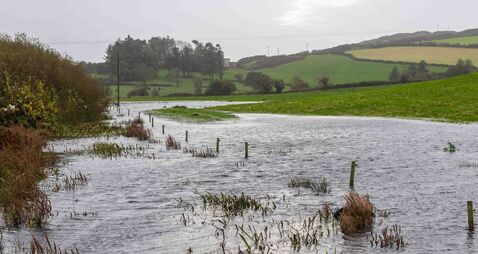 Amy leaves power outages, fallen trees and flooded roads across Cork