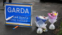 Co Louth incident
