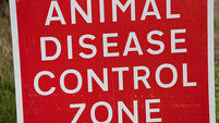 Bird flu outbreak