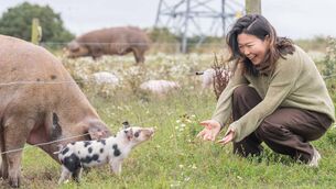 <p class="contextmenu internal_Caption">Michelle Li, of Cork, with one of the young piglets at Glenbrook Farm during a Pop-Up Harvest Lunch as part of the recent Cork on a Fork Festival. 	<span class="contextmenu emphasis CaptionCredit">Picture: Joleen Cronin</span>
            </p>