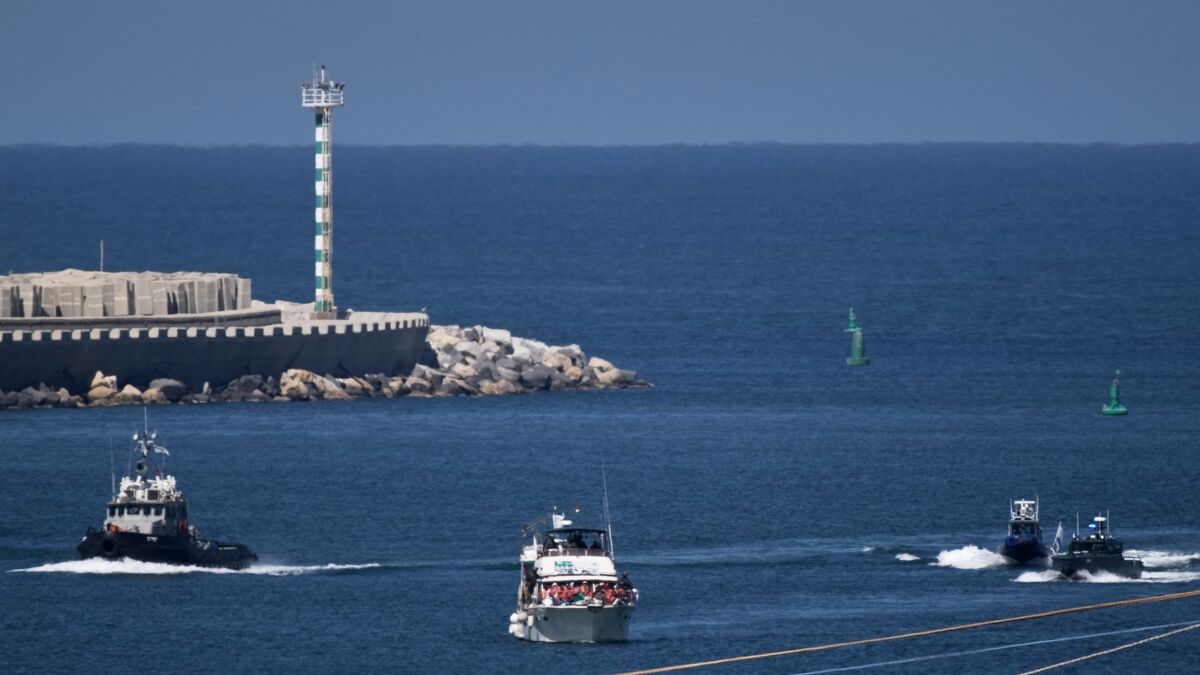 Irish citizens detained by Israel on Gaza flotilla ‘on their journey home’