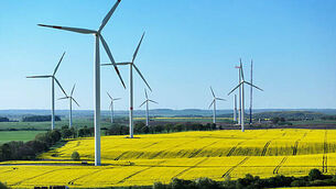 Government Seeks Rapid Expansion Of Renewable Energy Production