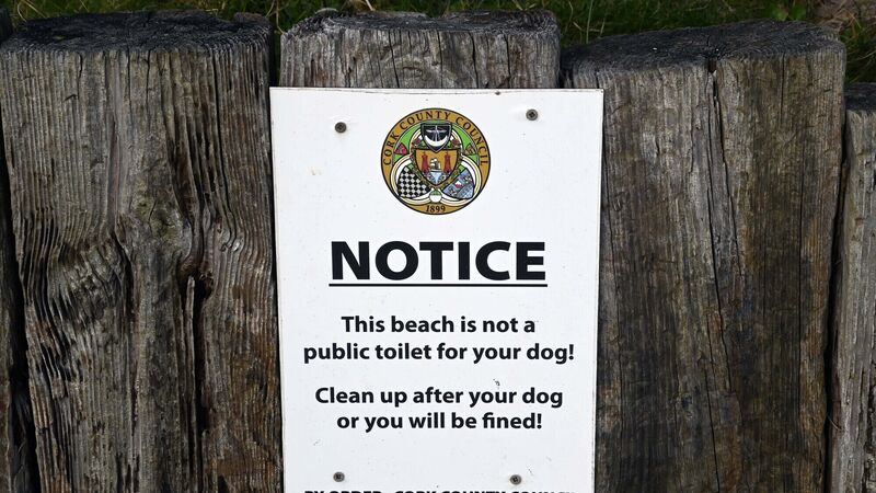 1,276 fines for dog control in Cork in five years