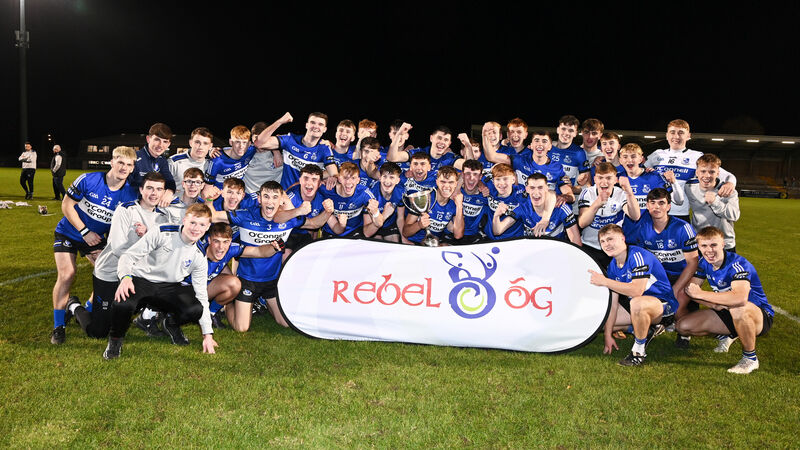 Premier 1 MHC: Bound by grief, solidarity saw Sarsfields through tough times Premier 1 MHC: Bound by grief, solidarity saw Sarsfields through tough times