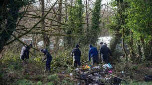 <p> A Garda team searching the undergrowth at Whitewell Cross in January 2024 on the main Midleton to Whitegate near where skeletal remains were discovered while searching for Kieran Quilligan. Picture Dan Linehan</p>