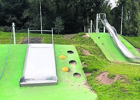 Labour Party councillor Peter Horgan is calling for witnesses to the vandalism at Marina Park to come forward to gardaí.