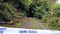 Philip Finnegan Murder Investigation Media Briefing