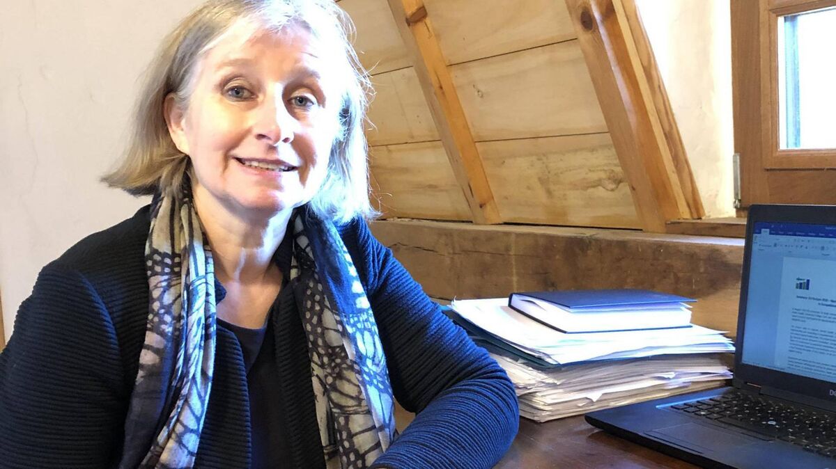 Prof Ella Arensman  from the UCC School of Public Health and chief scientist at the national suicide research foundation, welcomed the increase in mental health funding in Budget 2026.