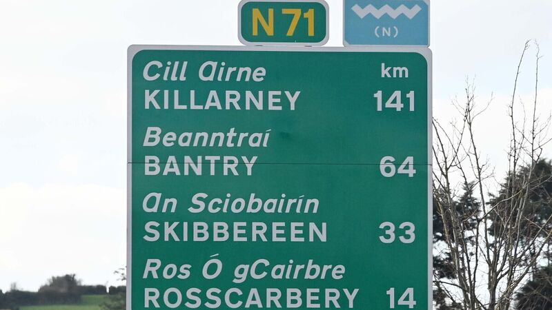 Transport Infrastructure Ireland has 'totally neglected' Cork’s N71, says councillor