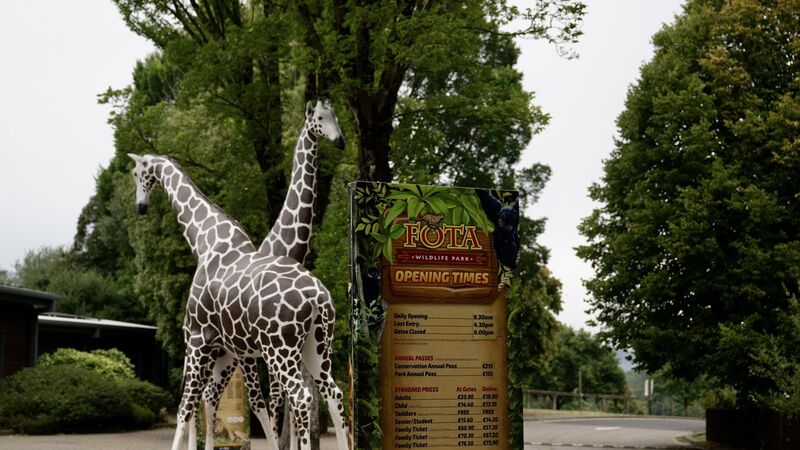 Suspected bird flu shuts Fota Wildlife Park for two days Suspected bird flu shuts Fota Wildlife Park for two days