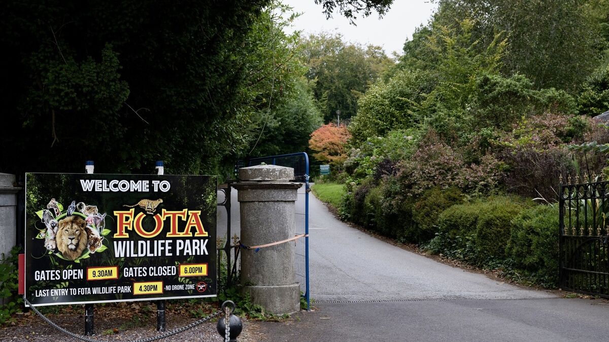 Samples taken from birds found dead Fota Wildlife Park have tested positive for bird flu