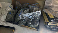 Co Down cannabis factory raided