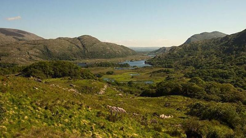 Over 30 cases of vandalism in national parks Over 30 cases of vandalism in national parks