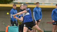 Cork Hurling: Patrick Horgan, Mark Coleman and Ger Collins lead scoring ahead of county finals
