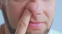 Adult Caucasian Male Picking Nose with Index Finger