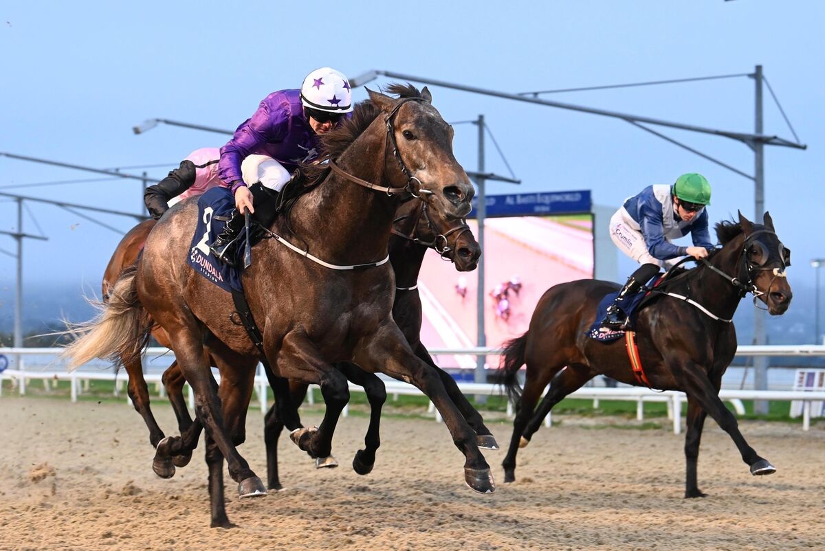 Valiant Force and Wayne Lordan win for trainer Adrian Murray. Picture: Healy Racing