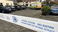 Donaghmede attack