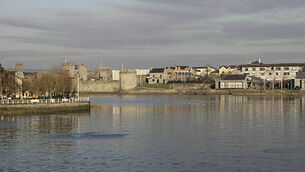 Limerick stock