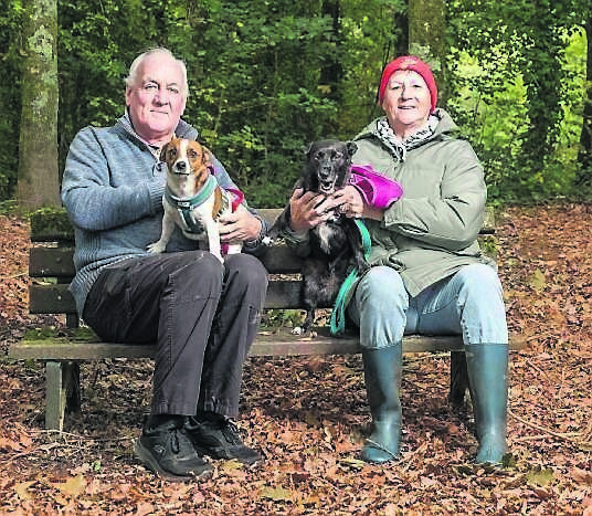 Donal and Margaret Barry with their dogs Mac and Poppy, while out for their walk at Sterling Pharma Solutions Nature Trail in Ringaskiddy.