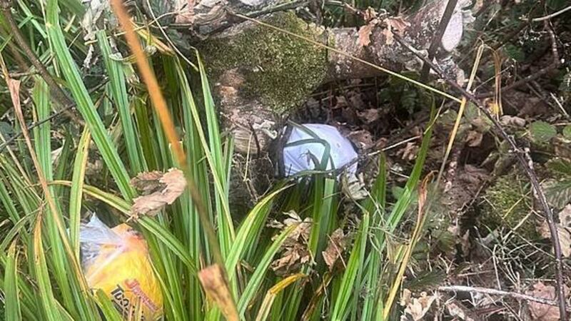 Animal charity outraged after kitten found suffocated in plastic bag and dumped in Donegal Animal charity outraged after kitten found suffocated in plastic bag and dumped in Donegal