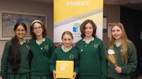 Cork students show EirGrid they are bright sparks