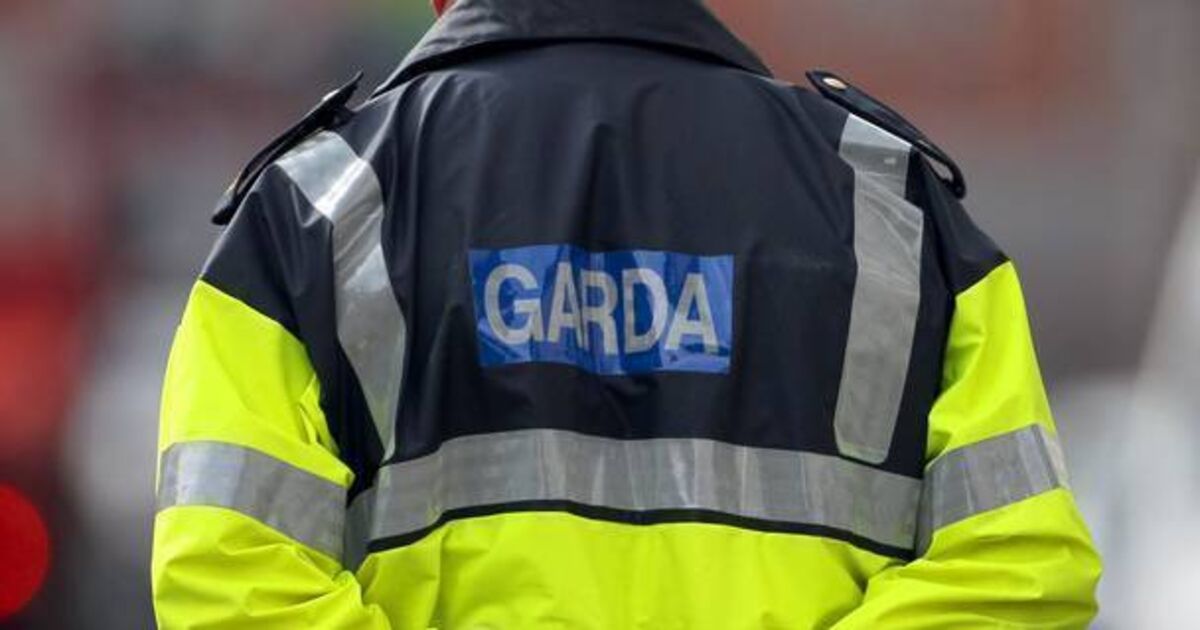 Since the turn of the decade garda numbers have dropped by 9% in the city and 3% in the county.