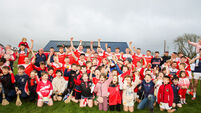 Carbery JAHC: O'Donovan and Ryan to the fore as Ballinascarthy regain title