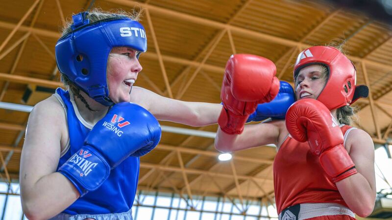 Bumper week for Cork boxing with several tournaments and a Lord Mayor's reception for clubs