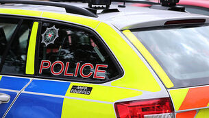 PSNI stock