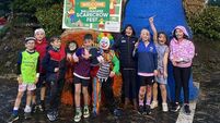Scarecrow fest ‘brings a buzz’ to Cork village