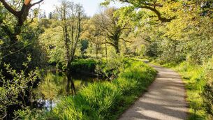 <p>The accident occurred on August 3, 2020, near Glengarriff on the N71 Kenmare Road close to the Glengarriff Woods Nature Reserve. </p>