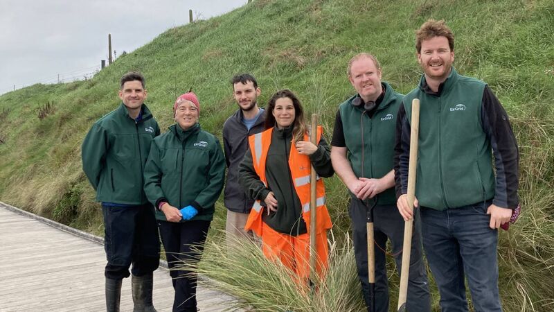 Electricity grid operator backs East Cork biodiversity restoration project Electricity grid operator backs East Cork biodiversity restoration project