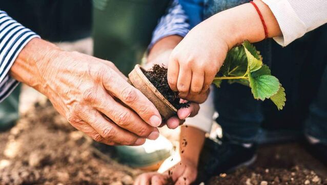<p class="contextmenu internal_Caption">School garden workshops take place across the city and county in November, run by Muintir na Tíre</p>