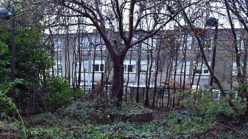 ‘Yes’ to €11m social housing revamp on Cork city's northside ‘Yes’ to €11m social housing revamp on Cork city's northside