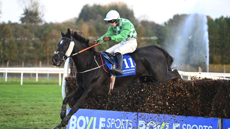 Kanturk trainer Michael Winters delivers with more success with Crowsatedappletart
