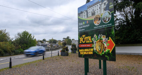 Compensation for Fota Wildlife Park a possibility, says minister