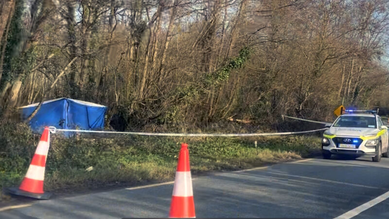 Jury in Quilligan murder trial ask for transcript of witnesses' evidence Jury in Quilligan murder trial ask for transcript of witnesses' evidence