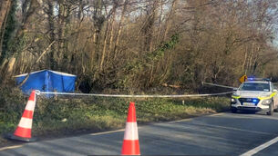 <p> The site near Rostellan between Midleton and Whitegate where the remains of Kieran Quilligan were discovered. Picture: Dan Linehan.</p>