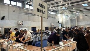 82144955 Irish presidential election