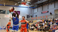 Cork Basketball: Worry times for UCC Demons after another defeat Cork Basketball: Worry times for UCC Demons after another defeat