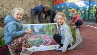 Planting of rain gardens at Cork Railway Park hailed as an example to others