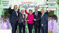 Cork cleans up as nine areas win prizes at TidyTowns awards ceremony
