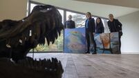 Dinosaurs return to Cork with special fossil exhibit at the Glucksman