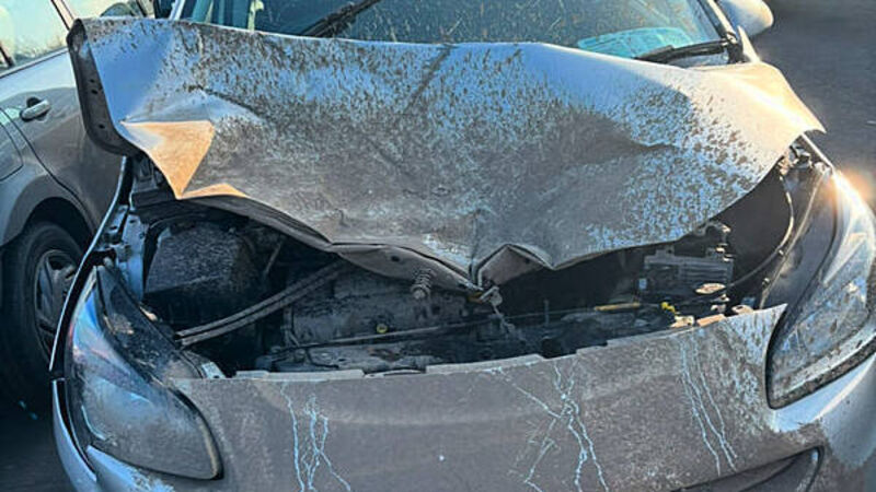 Motorist backs call for signage on Meath road after collision with deer Motorist backs call for signage on Meath road after collision with deer