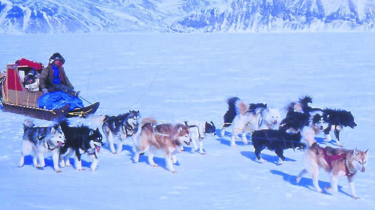 Why I left Cork and brought my family to the freezing Arctic