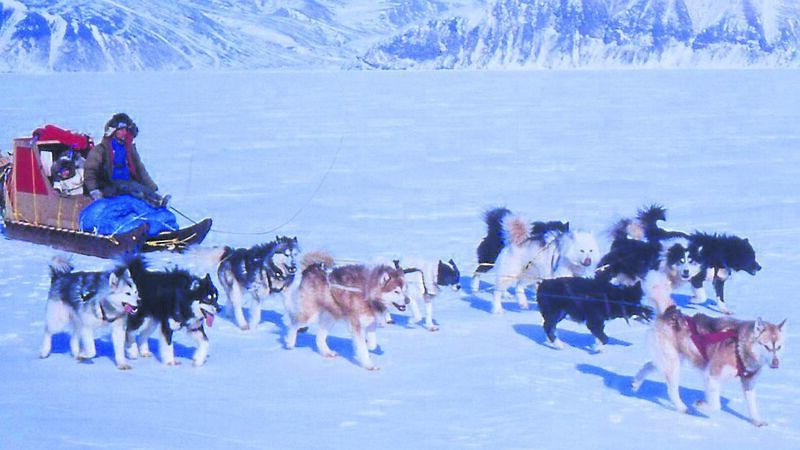 Why I left Cork and brought my family to the freezing Arctic Why I left Cork and brought my family to the freezing Arctic