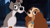 LadyAndTheTramp.jpg Bring your own dog! Highlights of 70th Cork Film Festival include pet invite