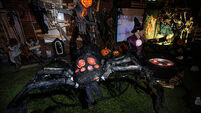 82199501 Halloween 2025