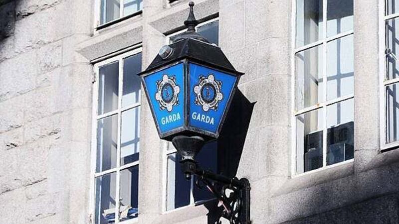 Gardaí investigating after dog killed in suspected firework attack Gardaí investigating after dog killed in suspected firework attack